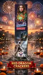 LUNIK / 2 SOUND ROCKET